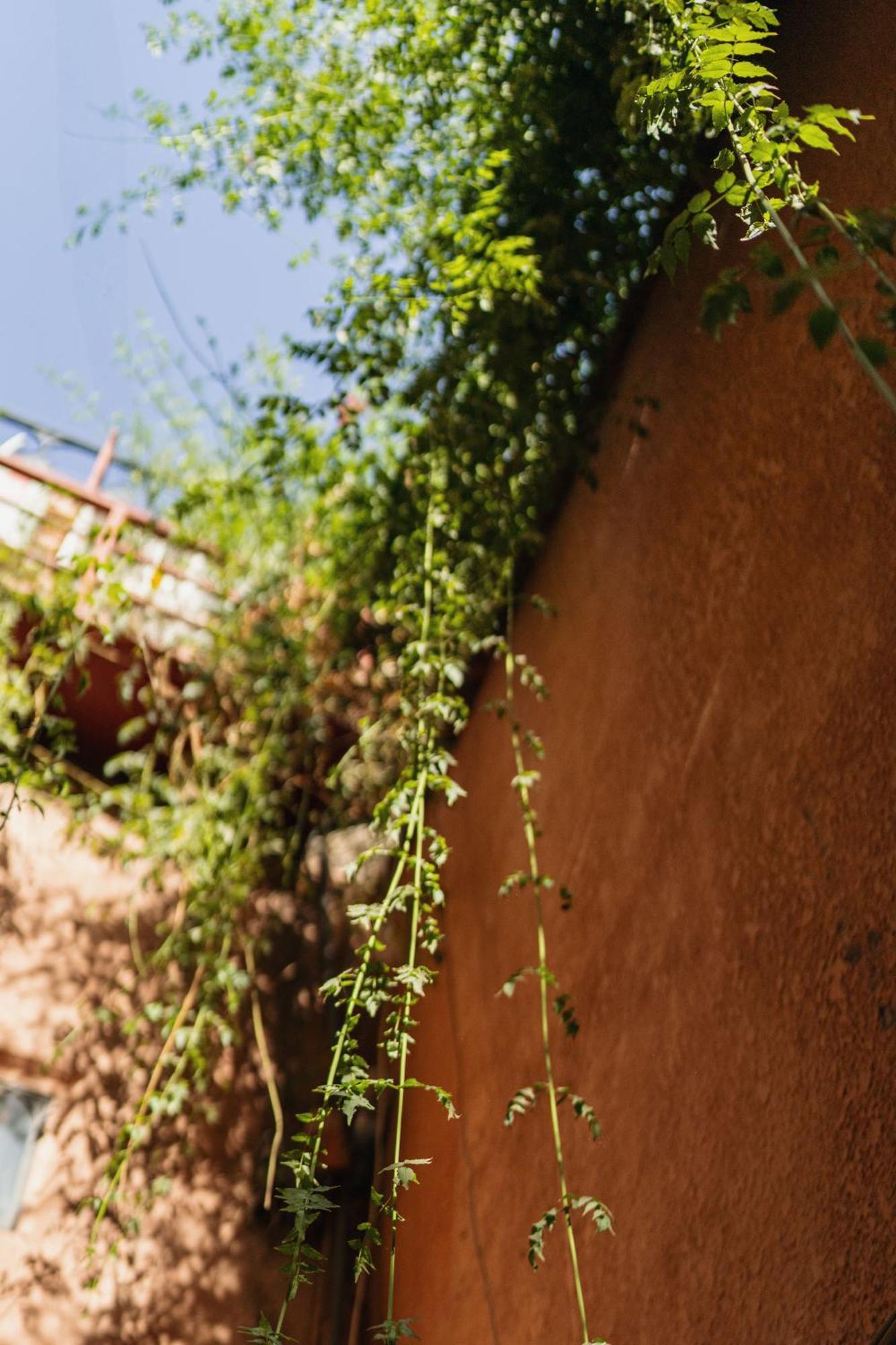 Riad Senja Marraquexe Exterior foto